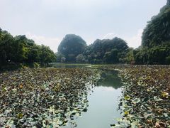 -星湖旅游景区七星岩
