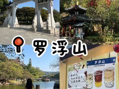 -罗浮山嘉宝田森林温泉度假酒店