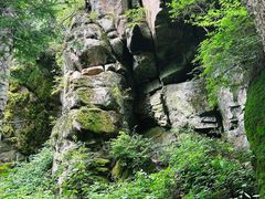 -汤旺河林海奇石景区