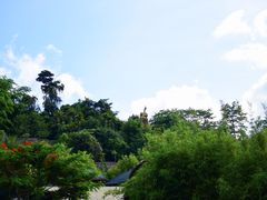 -海南槟榔谷黎苗文化旅游区