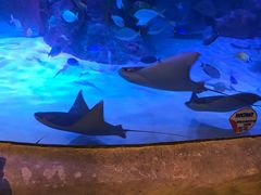 -沈阳海洋探索中心