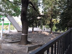 -青年湖公园水上世界