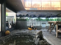 -西安秦岭野生动物园