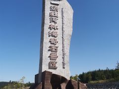 -汤旺河林海奇石景区