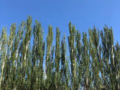 -黄沙古渡原生态旅游区