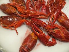 -红盔甲·小龙虾(人民广场店)