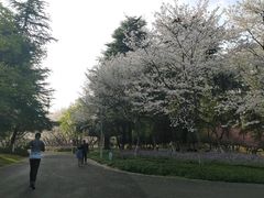 -白塘生态植物园