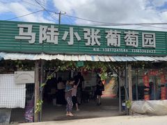 -马陆小张葡萄园农家乐