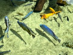 -珠海长隆海洋王国
