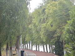 -艾溪湖湿地公园