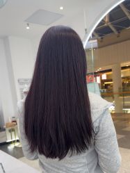 -YESIDO椰岛造型
