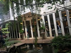 -Fern Forest Cafe