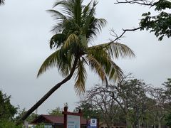 -白沙门生态公园