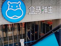 门面-盒马鲜生(双清路店)