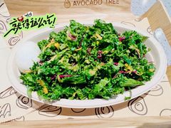 -油梨树AVOCADO TREE(嘉里中心店)