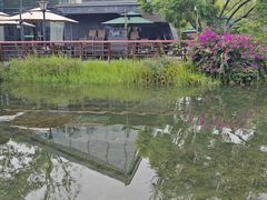 -成飞公园