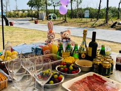 -春花秋色城市公园