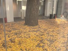 -自如ZSPACE四合院艺术餐厅