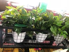-皖北巫氏三胖地锅鸡(长淮总店)