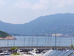 -杨梅坑