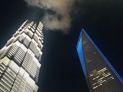 -上海柏悦酒店·世纪100牛排馆