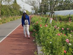 -上海长兴岛郊野公园