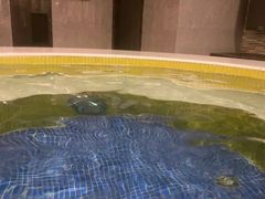 -碧中海汤泉汗蒸酒店