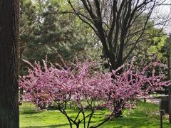 -唐城墙遗址公园