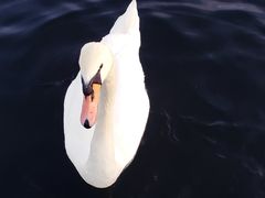 景点-海德公园