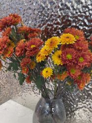 -丝念美发·专注烫染