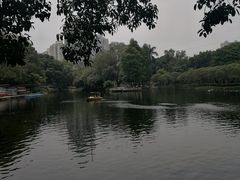 -晓港公园