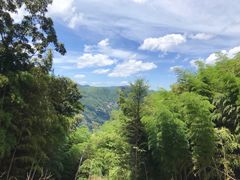 -藏龙百瀑风景区