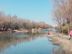 -新江湾城公园