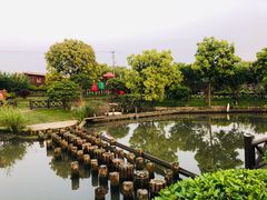 -灶头屋里