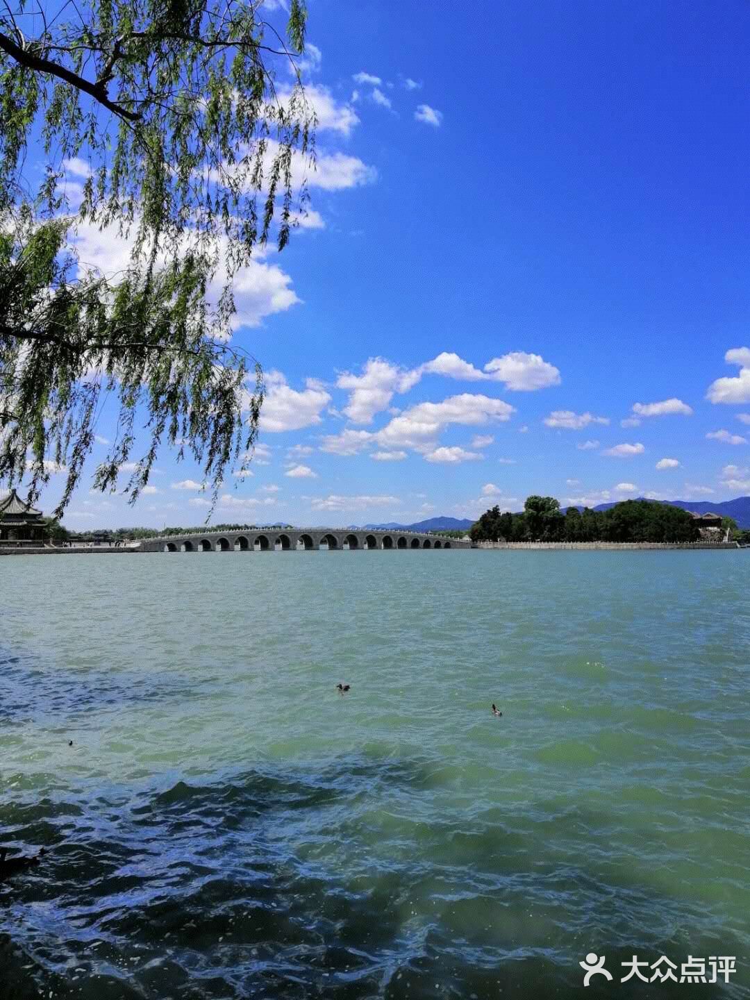 散步♀️在公园里，仿佛进入仙境一般的美哉美哉