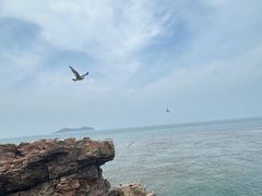 -摩天岭风景区