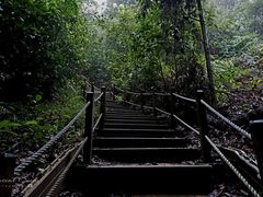 -武吉知马自然保护区