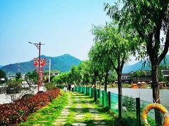 -长兴慧子土特产茶行