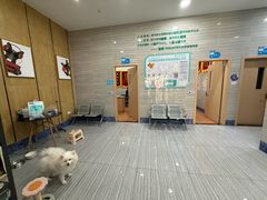 -瑞派名望志远动物医院·猫科·內科·异宠专科(直港大道店)