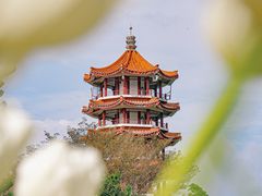 -深圳市中科院仙湖植物园