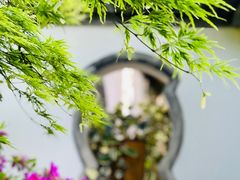 -上海醉白池公园