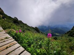 -白草畔自然风景区