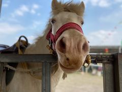 -仙海旅游度假区