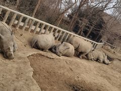 -济南野生动物世界