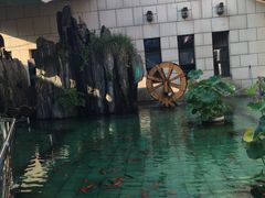 -陕西自然博物馆