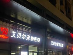-艾贝尔宠物医院·24H转诊中心·肿瘤猫专科(江宁双龙店)