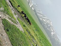 -新疆那拉提国家旅游度假区
