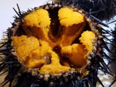 -海胆小馆(东北水饺·春柳店)