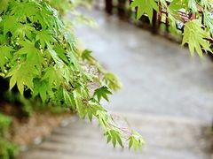 -径山寺