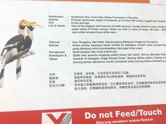 -吉隆坡雀鸟公园